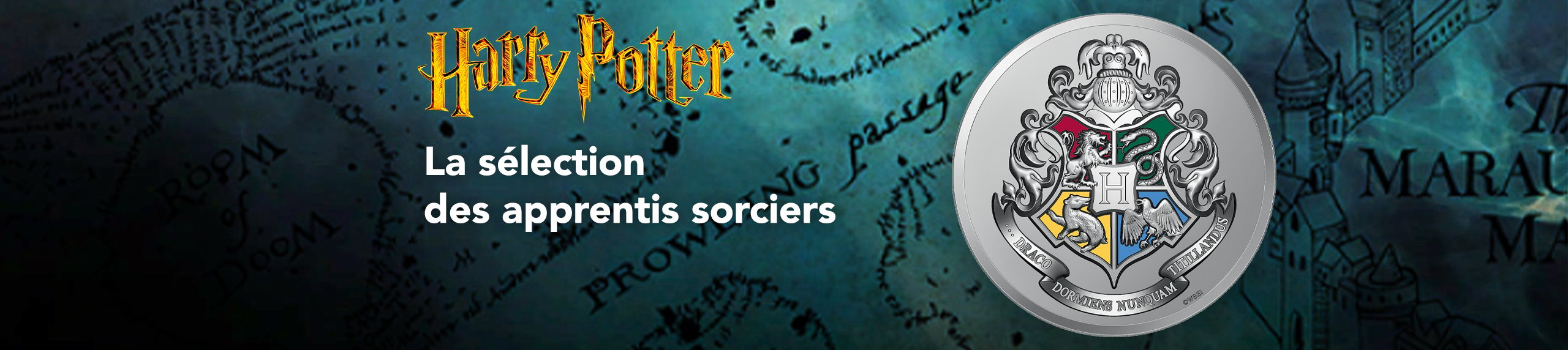 Figurine à collectionner Wizarding World Magical Minis Harry Potter, choix  varié, 3 po, 5 ans et plus