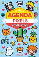 Agenda 2024-2025   Pixels