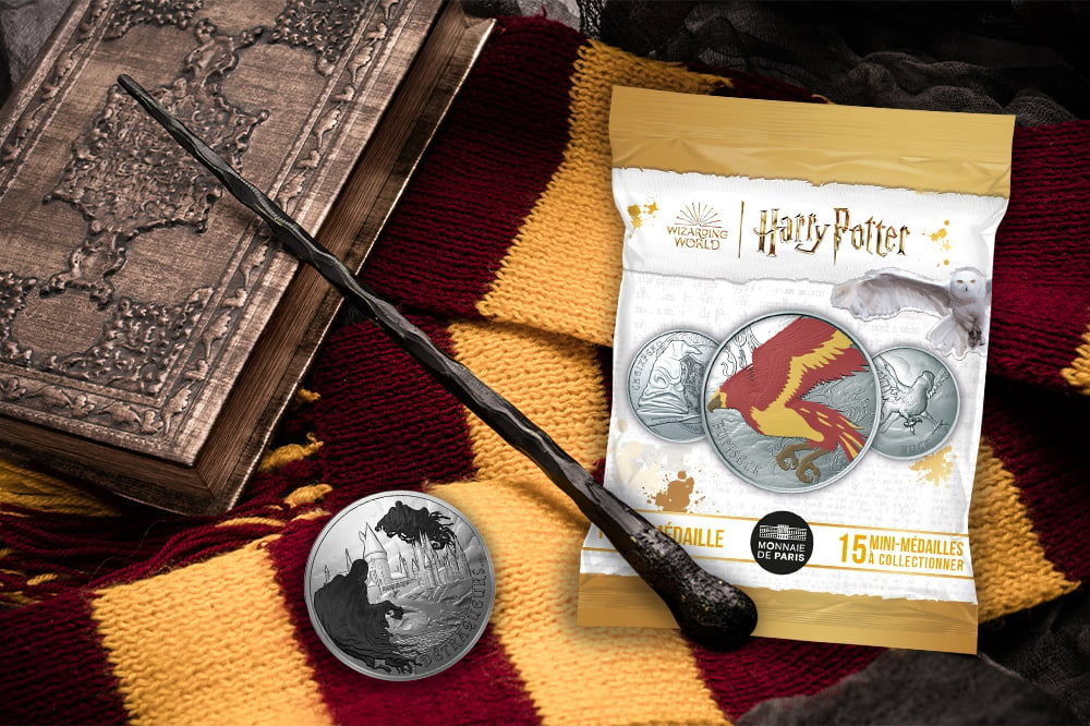 Top 15 des idées cadeaux pour un fan d'Harry Potter  Harry potter, Cadeau  harry potter, Décoration harry potter