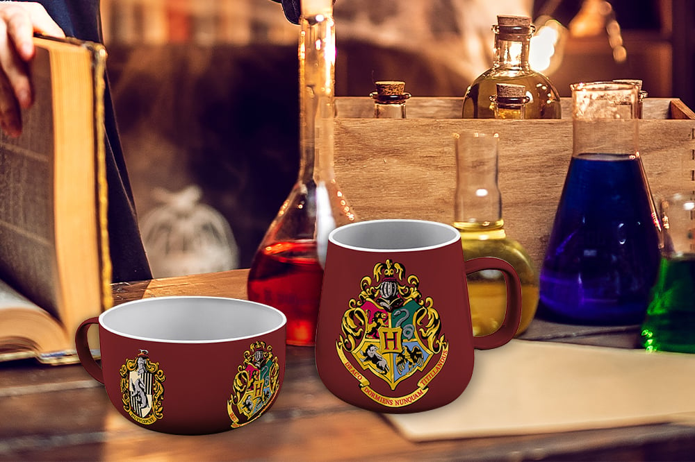 Les 10 meilleurs cadeaux à offrir à des adultes fans de Harry Potter™